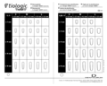Transparent pour la planification échelle, tioLogic® TWINFIT, 1:1/1.25:1