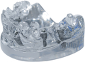 tioLogic® TWINFIT modèle de démonstration, acrylique, maxillaire, partiellement édenté, 4 implants, sans équipement prothétique